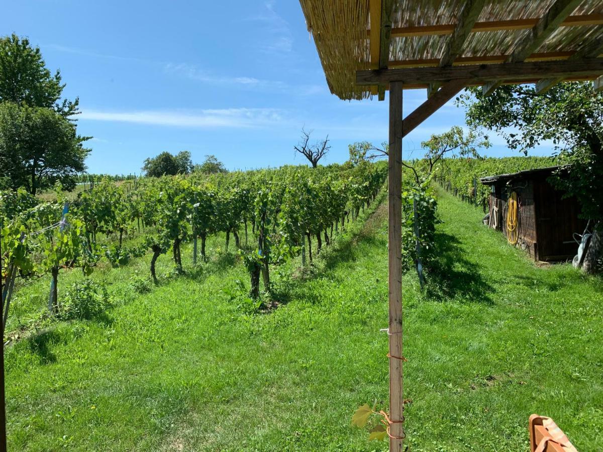 Urlaub Im Weingarten Winten  Exterior foto