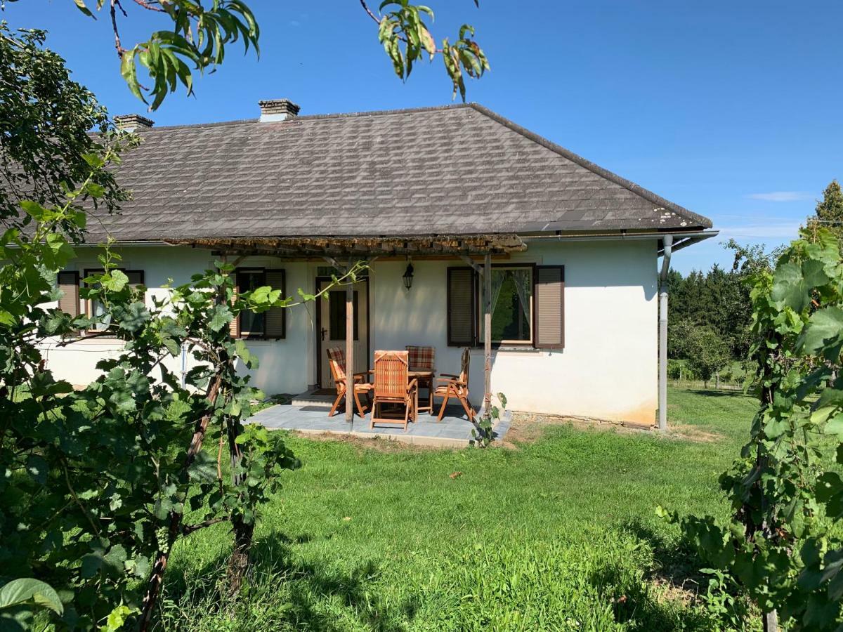 Urlaub Im Weingarten Winten  Exterior foto